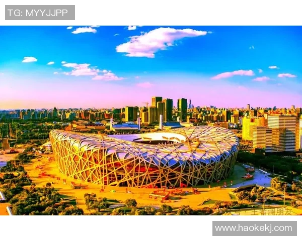 上海羽毛球队转型之路的挑战与机遇全景解析